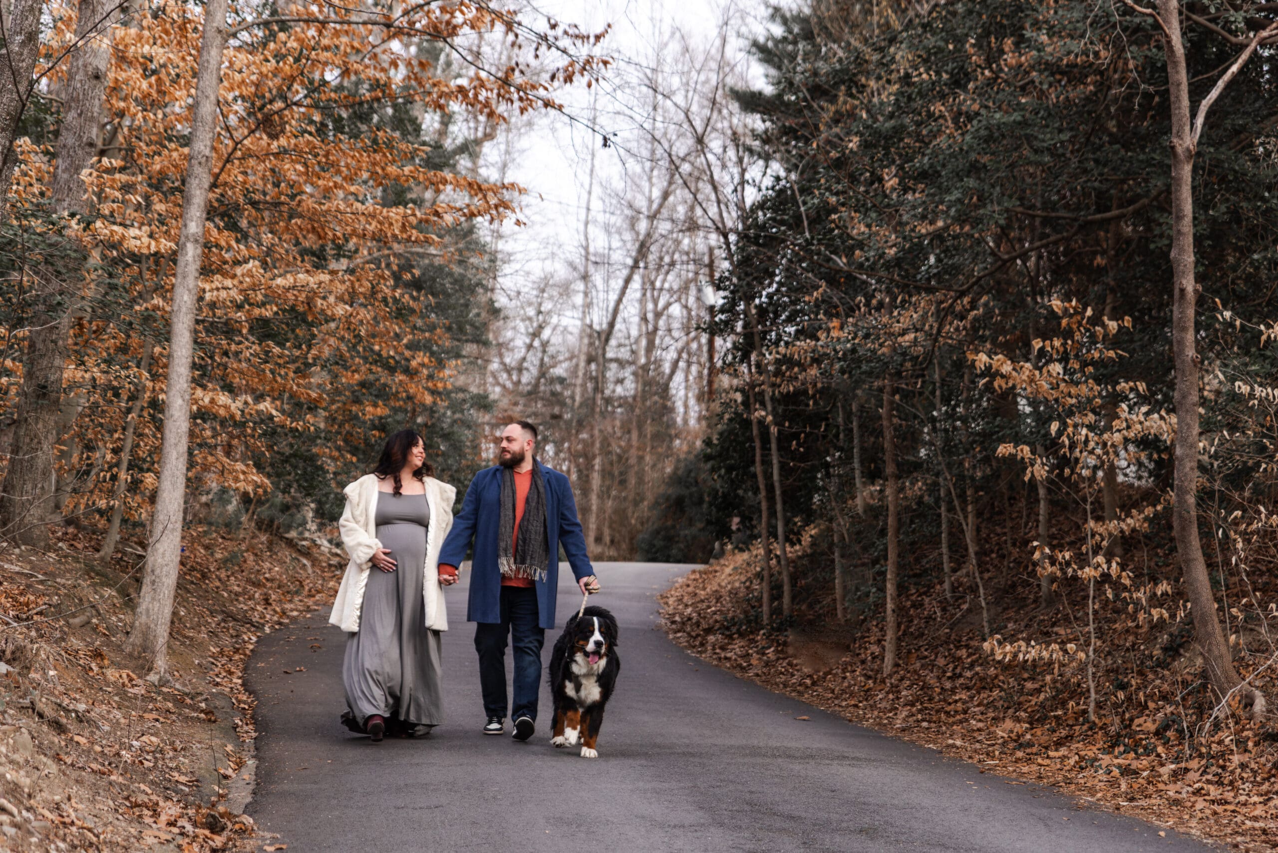 maternity session pony pasture richmond va winter. expecting couple walking with their dog.